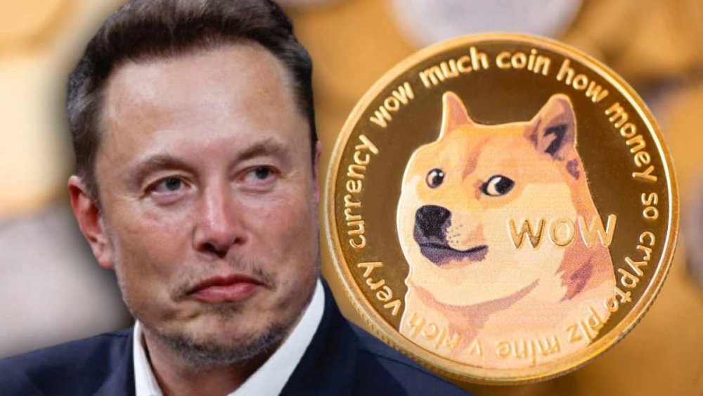 elon-musk-dogecoin.thumb.jpg.0b70878bf273e97ffeda7c3f35420fc6.jpg