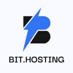 BitHosting